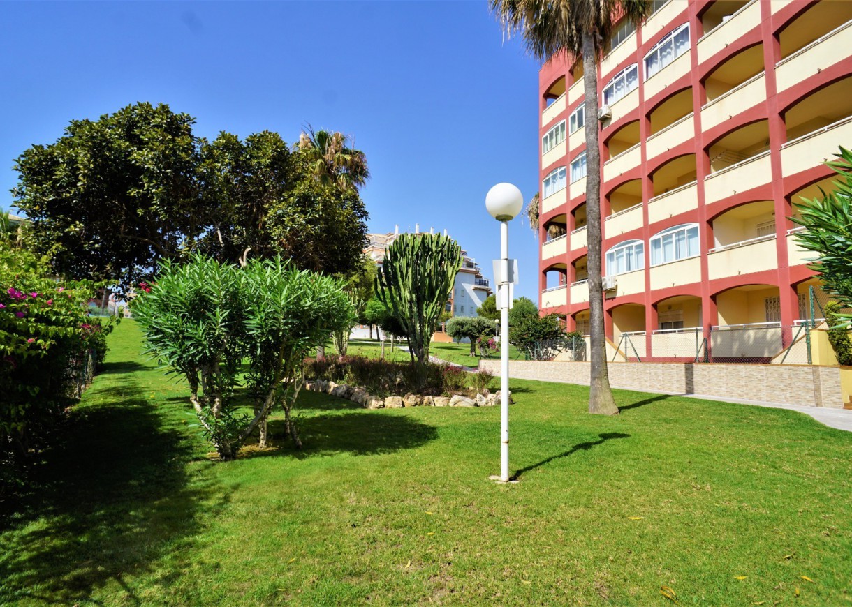 Location longue durée - Appartement - Torrevieja - Torreblanca