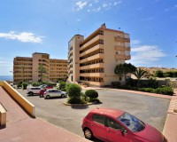 Alquiler a largo plazo - Apartamento - Torrevieja - Cabo Cervera