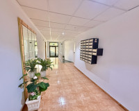 Alquiler a largo plazo - Apartamento - Torrevieja - Centro