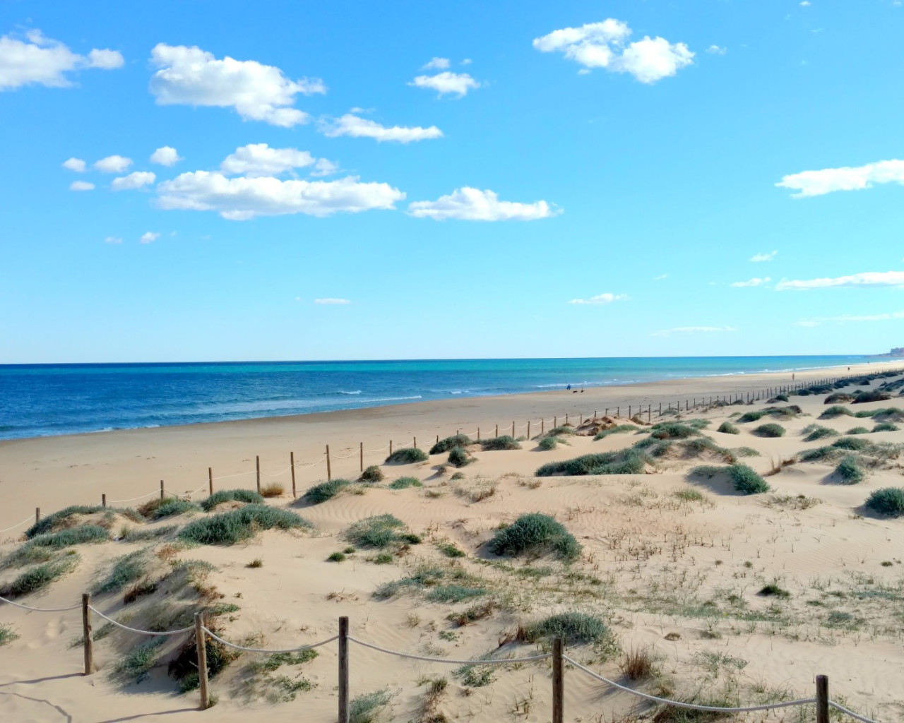 Alquiler a largo plazo - Apartamento - Torrevieja - La Mata