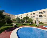 Alquiler a largo plazo - Apartamento - Torrevieja - Playa del Acequión