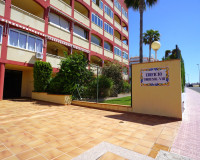 Alquiler a largo plazo - Apartamento - Torrevieja - Torreblanca