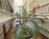 Alquiler a largo plazo - Apartamento - Torrevieja - Torreblanca