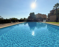 Alquiler a largo plazo - Apartamento - Torrevieja - Torreblanca