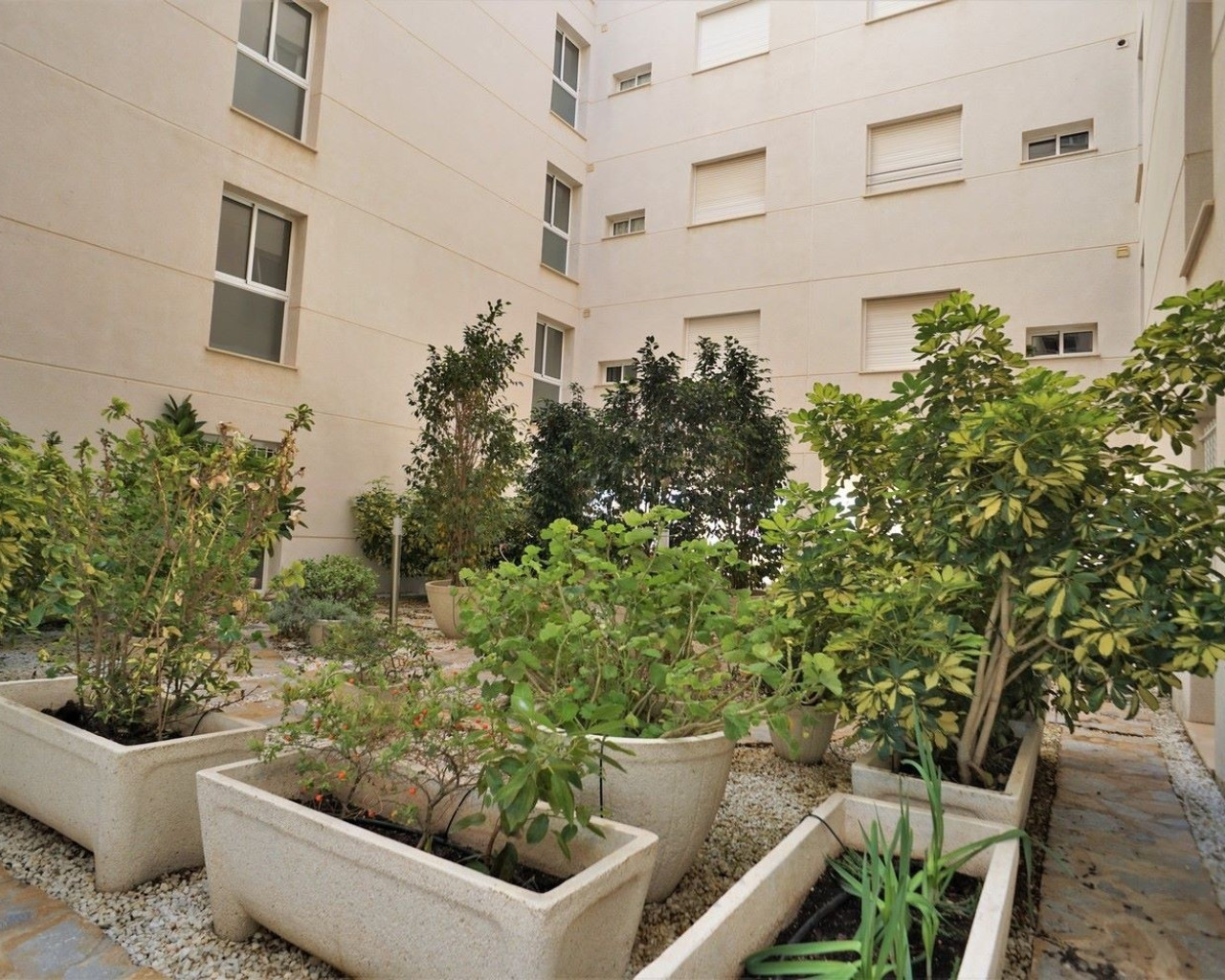 Alquiler a largo plazo - Apartamento - Torrevieja - Torreblanca