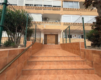 Alquiler a largo plazo - Apartamento - Torrevieja - Torreblanca
