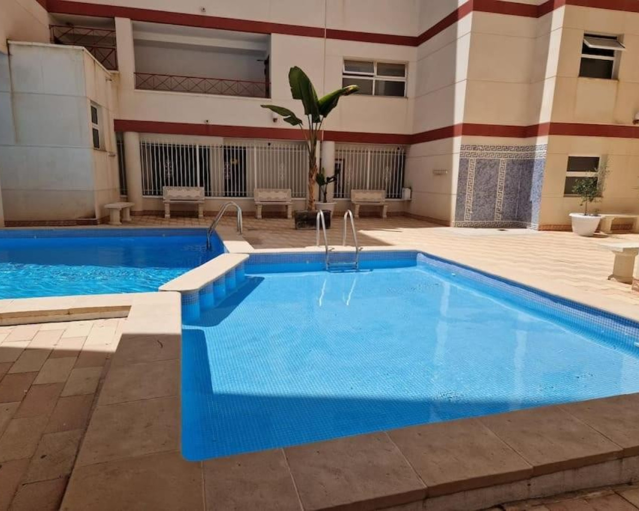 Apartamento - Alquiler a largo plazo - Torrevieja - 485