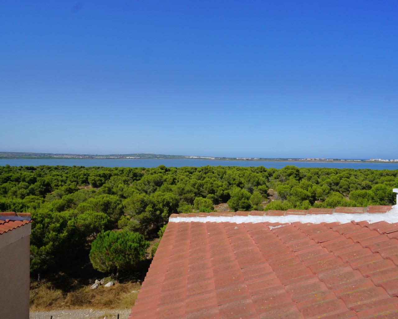 Apartamento - Venta - Torrevieja - 1454