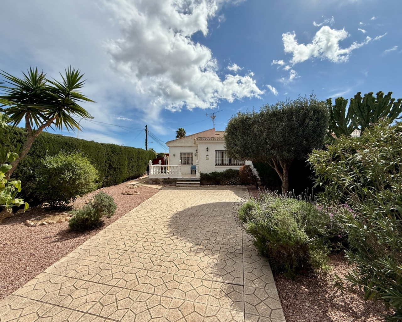 Chalet - Venta - Torrevieja - 1549