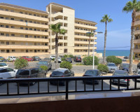 Location longue durée - Appartement - Torrevieja - Cabo Cervera