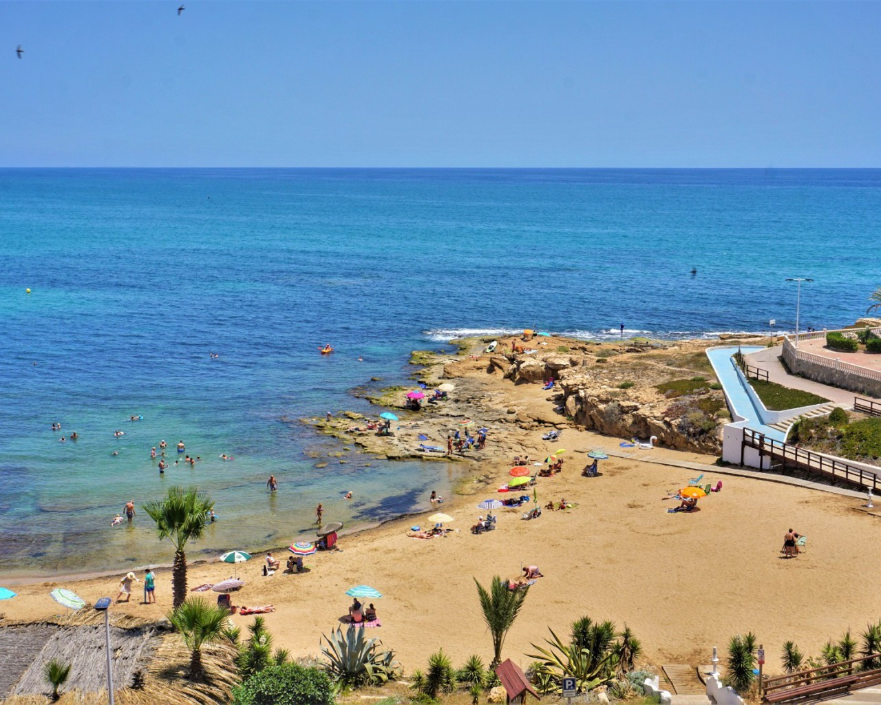 Location longue durée - Appartement - Torrevieja - Cabo Cervera