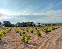 Location longue durée - Appartement - Torrevieja - La Mata
