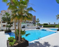 Location longue durée - Appartement - Torrevieja - La Mata