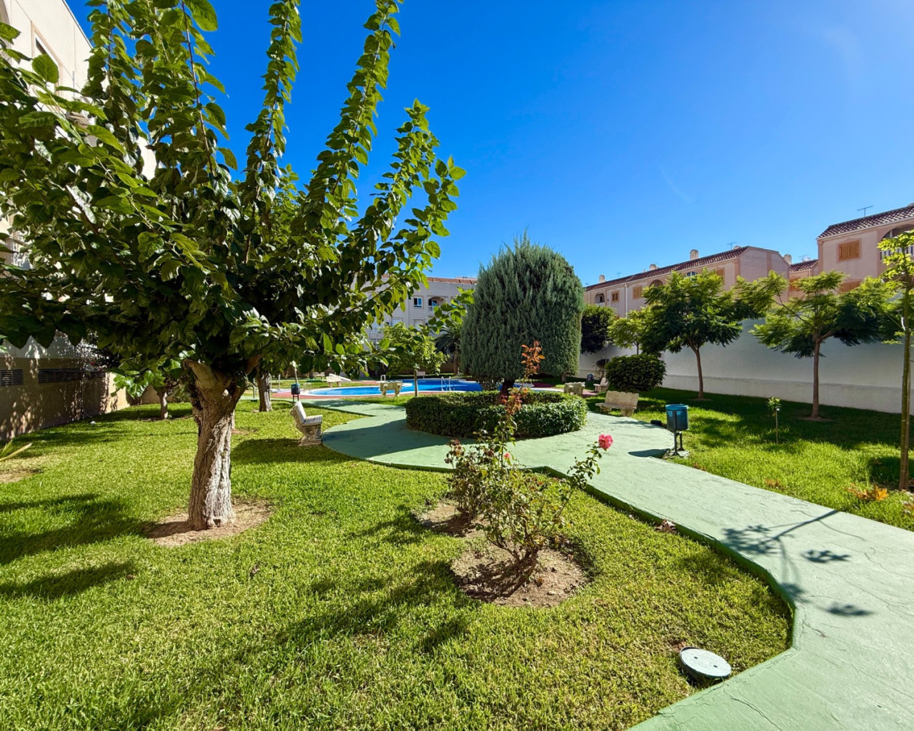 Location longue durée - Appartement - Torrevieja - Playa del Acequión