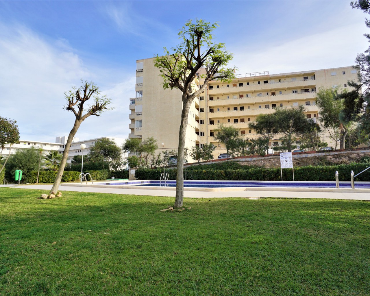 Location longue durée - Appartement - Torrevieja - Torreblanca