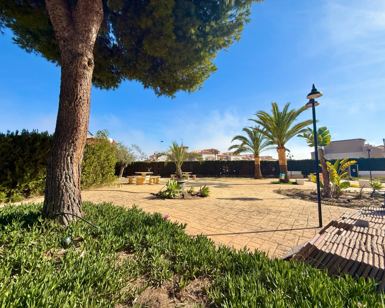 Location longue durée - Appartement - Torrevieja - Torreblanca