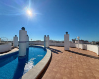 Long time Rental - Apartment - Torrevieja - Centro