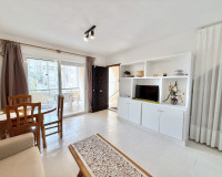 Long time Rental - Apartment - Torrevieja - La Mata