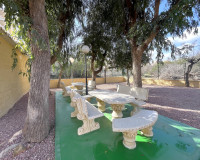 Long time Rental - Apartment - Torrevieja - Torreblanca