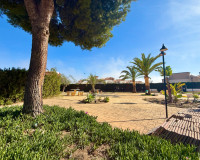 Long time Rental - Apartment - Torrevieja - Torreblanca
