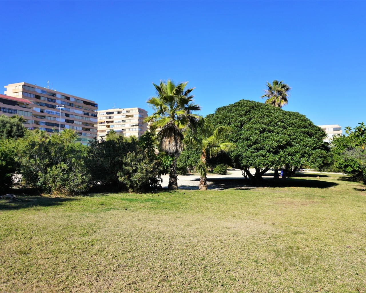 Long time Rental - Lägenhet - Torrevieja - Cabo Cervera