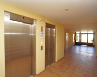 Long time Rental - Lägenhet - Torrevieja - Torreblanca