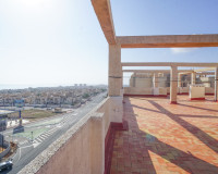 Long time Rental - Lägenhet - Torrevieja - Torreblanca