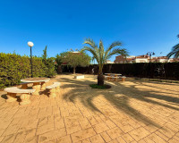 Long time Rental - Lägenhet - Torrevieja - Torreblanca