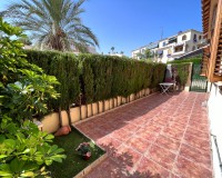 Long time Rental - Lägenhet - Torrevieja - Torreblanca