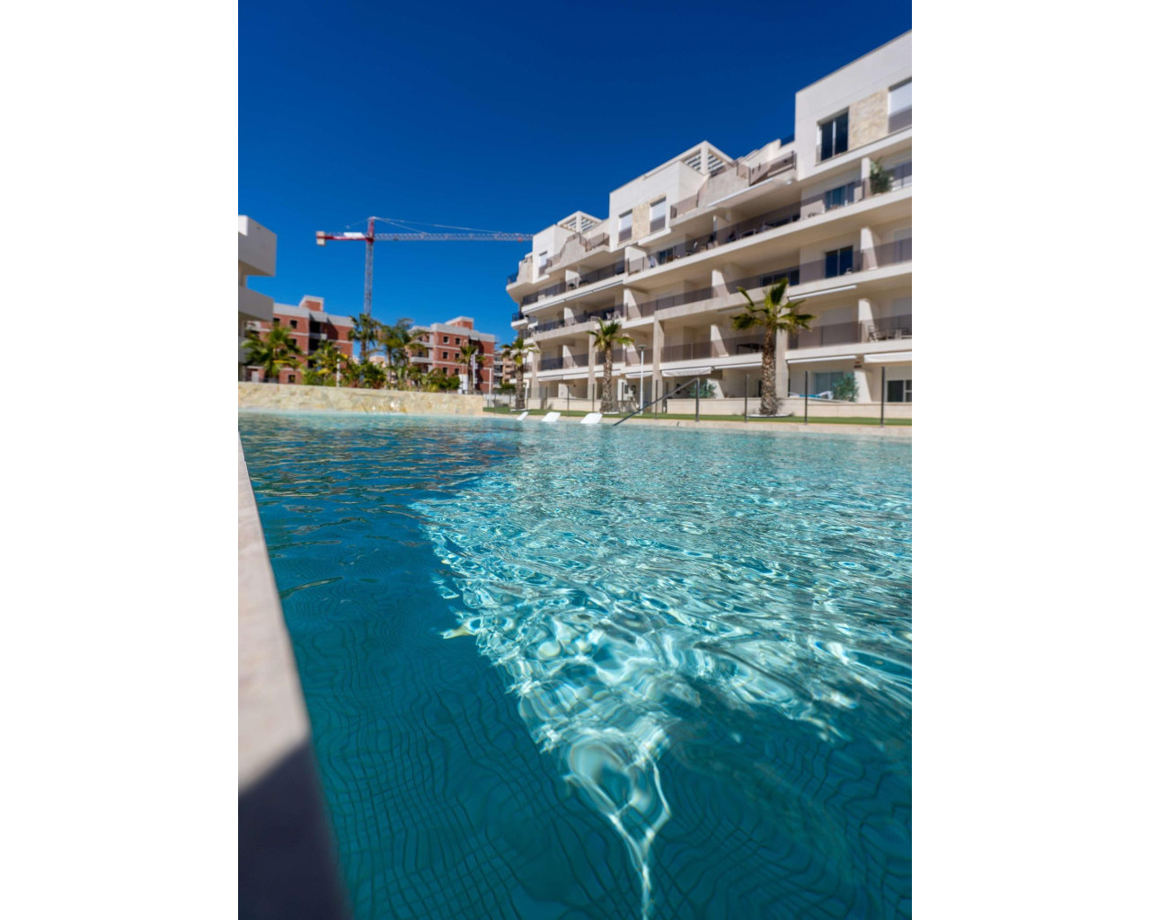 New Build - Apartment - Guardamar del Segura - EL RASO