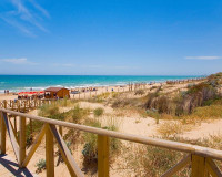 New Build - Lägenhet - Guardamar del Segura - Pueblo
