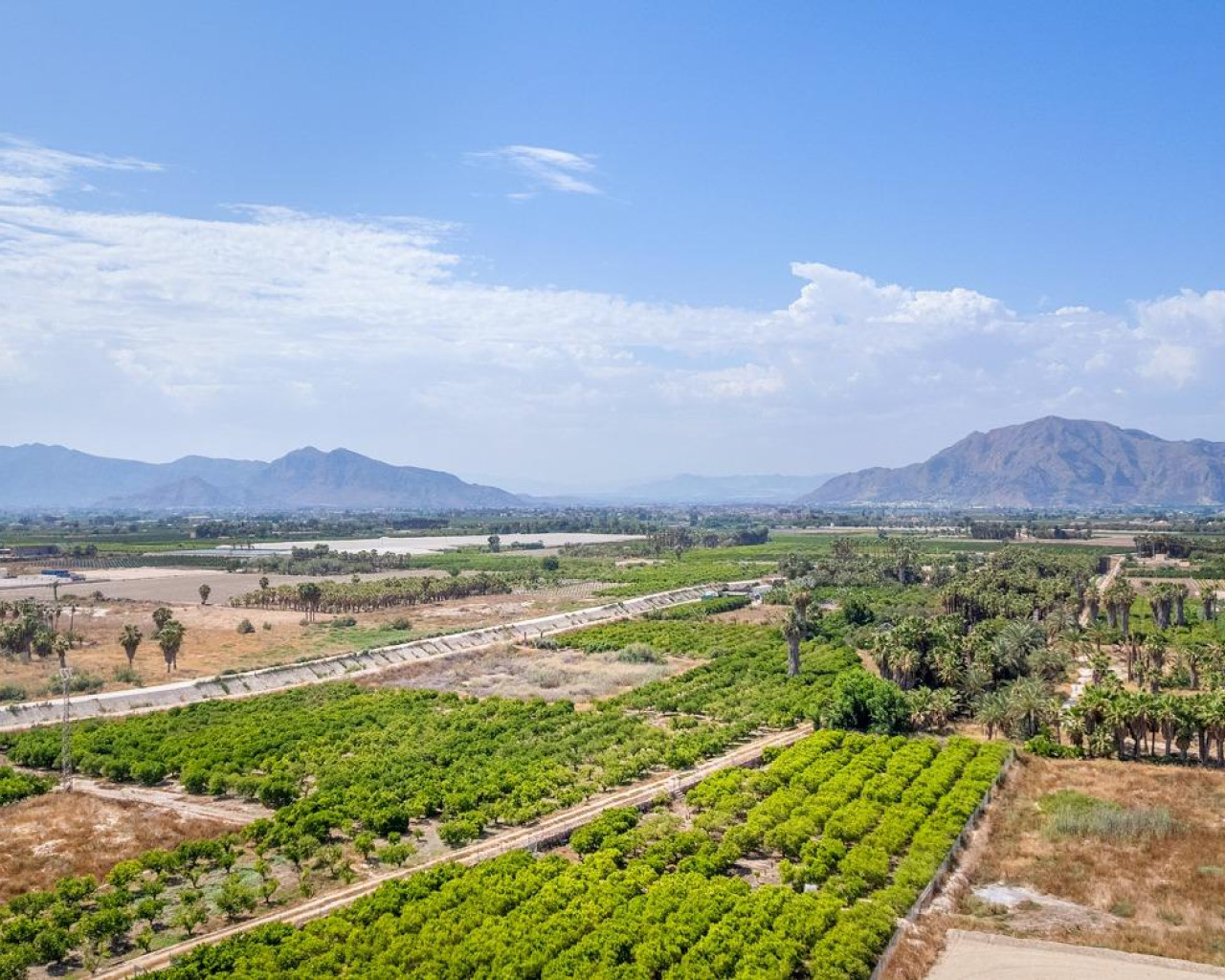 New Build - Lägenhet - Jacarilla - Comunidad Valenciana