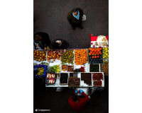 New Build - Stadshus - Dolores - Sector 2