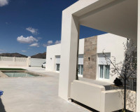 New Build - Villa - Aspe - urbanizaciones