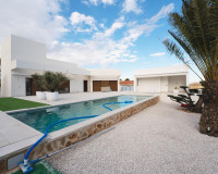 New Build - Villa - Benejúzar - alta