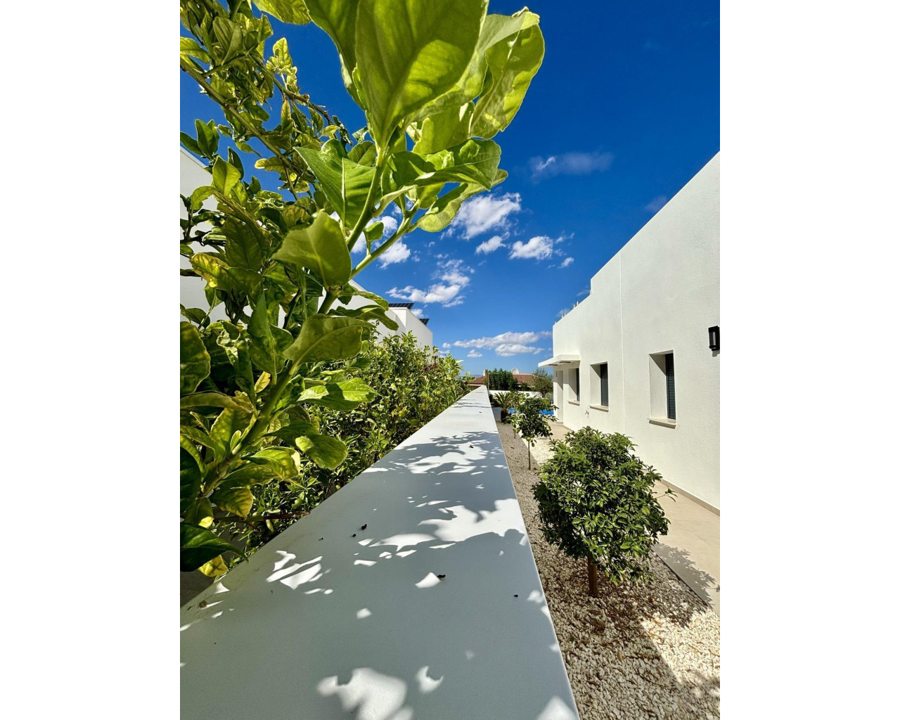 New Build - Villa - Benijofar