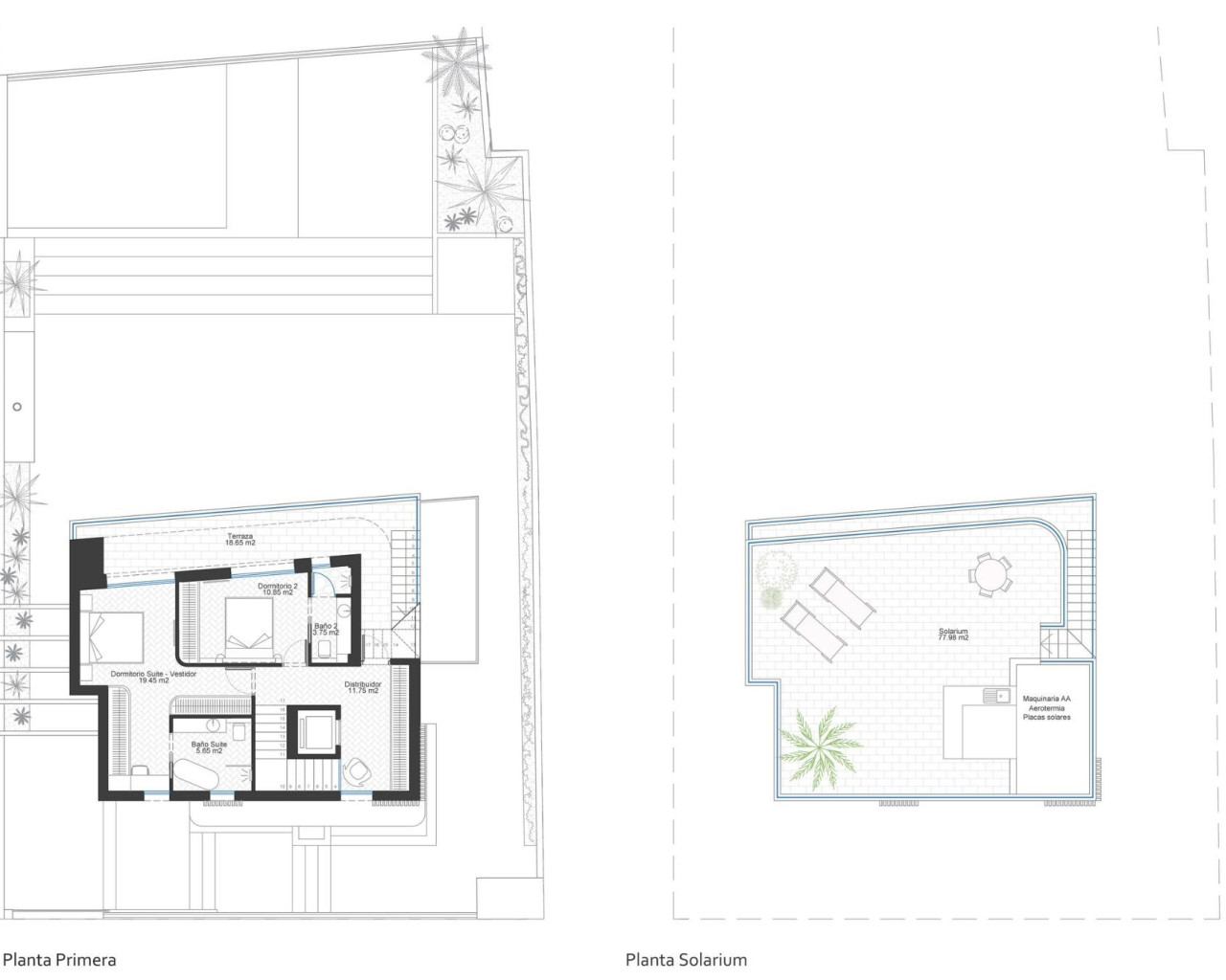 New Build - Villa - Cabo de Palos - Cala Flores