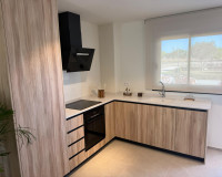 New Build - Villa - Pilar de la Horadada - pueblo