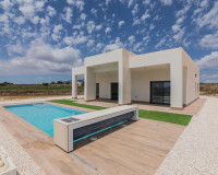 New Build - Villa - Pinoso - Campo