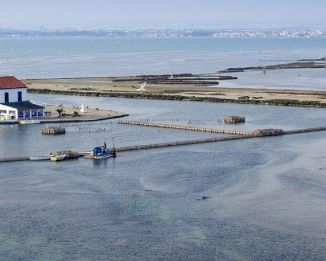 New Build - Villa - San Pedro del Pinatar - CENTRO