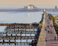 New Build - Villa - San Pedro del Pinatar - CENTRO