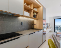 Nouvelle construction - Appartement - Guardamar del Segura - EL RASO