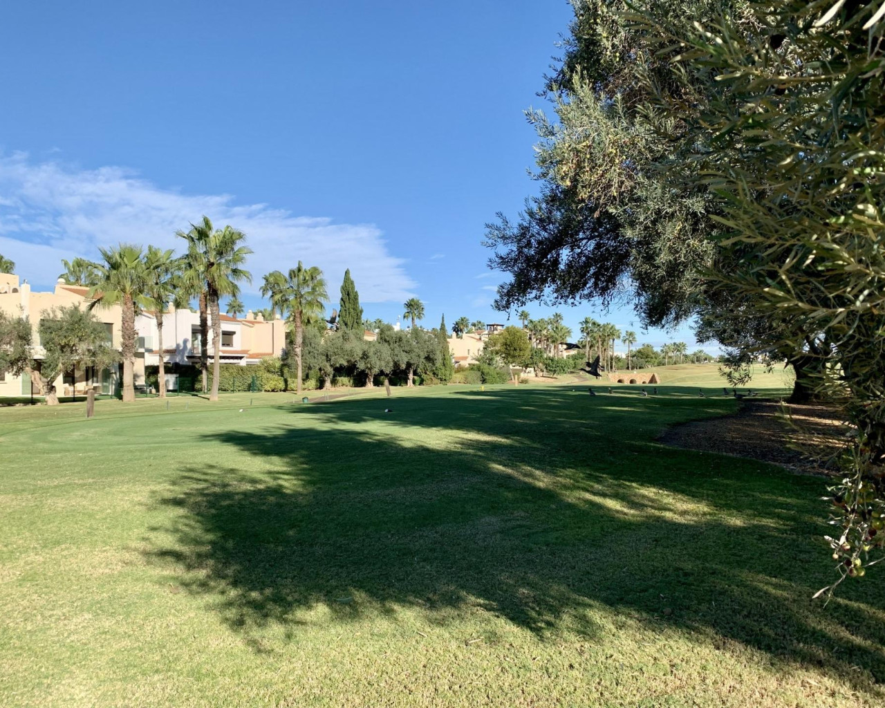 Nouvelle construction - Bungalow - San Javier - Roda Golf