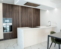 Nouvelle construction - Villa - Ciudad Quesada - Lo Marabú