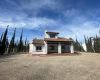 Nouvelle construction - Villa - Fuente alamo de Murcia - LAS PALAS