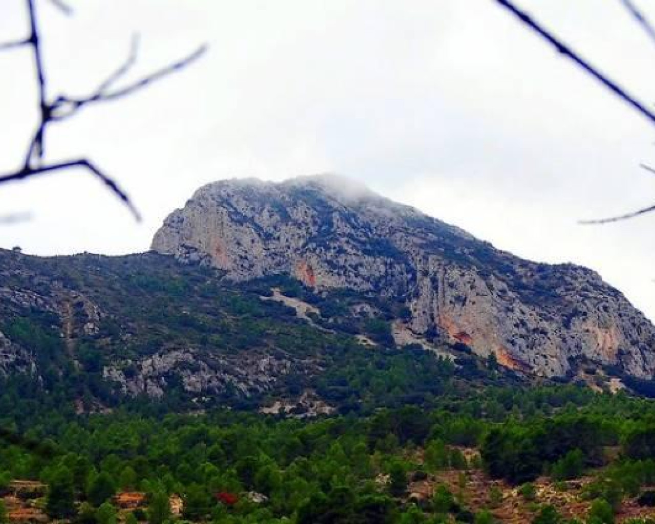 Nouvelle construction - Villa - La Romana - Batistes