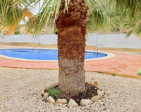 Nouvelle construction - Villa - La Romana - Villas de la Romana