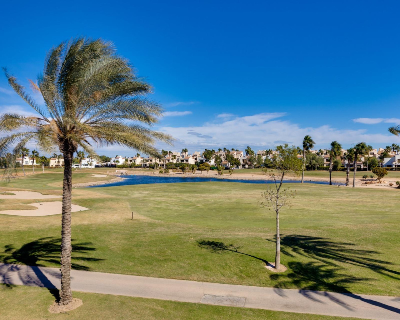 Nouvelle construction - Villa - Pilar de la Horadada - Lo Romero Golf