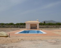 Nouvelle construction - Villa - Pinoso - Camino Del Prado