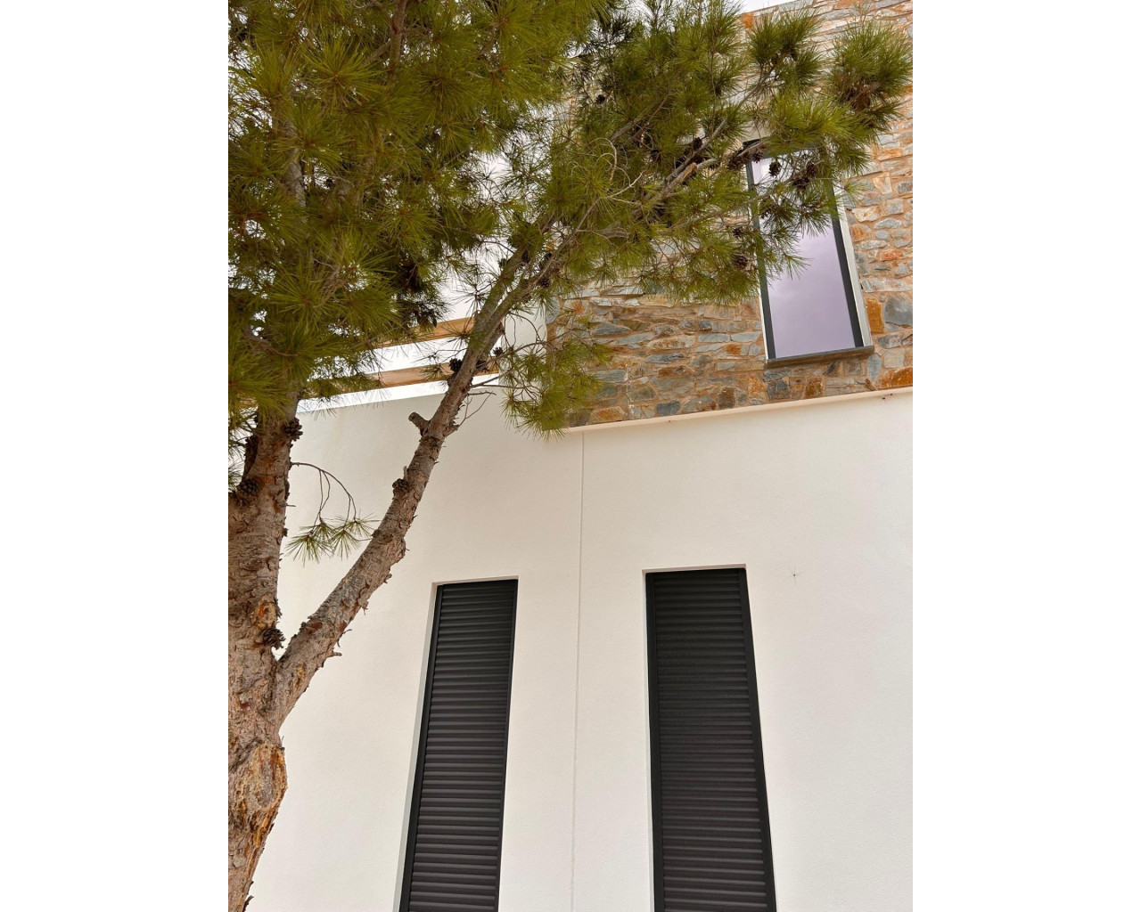 Nouvelle construction - Villa - Pinoso - Casas Pastor